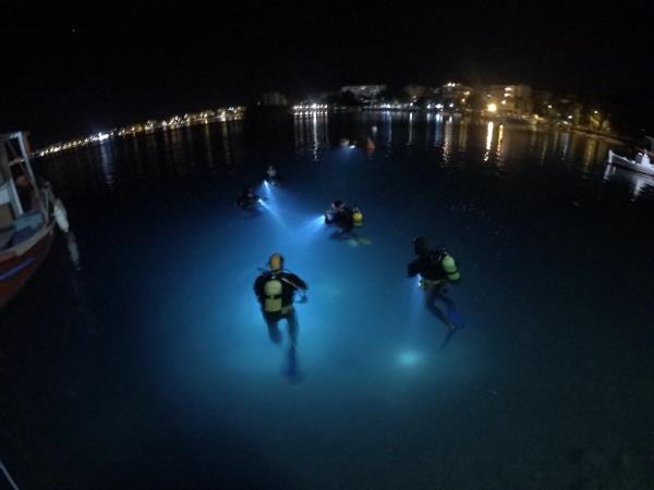 غواصی در شب  Night diving